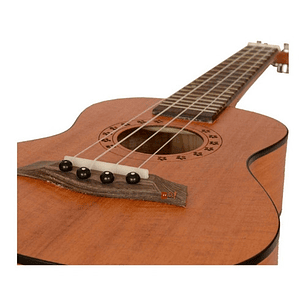 Ukelele De 23 Pulgadas Concierto + Estuche Valenciana - Ps