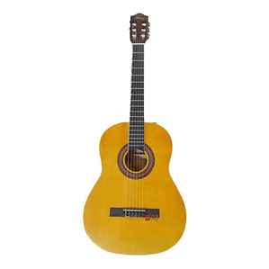 Guitarra Electroacústica 39 Pulgadas + Funda Valenciana - Ps