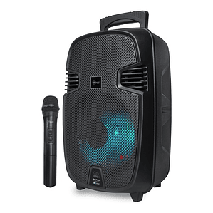 Parlante Karaoke 8 Pulgadas City Song4 - Ps