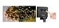 Guirnalda Solar 200 Led Resistente Al Agua - Ps - Miniatura 2