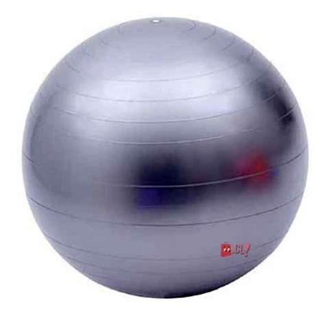 Pelota Balón Para Yoga O Pilates Con Inflador Gris - Ps