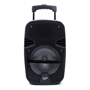 Parlante Karaoke Bluetooth 80w Incluye Micrófono - Ps