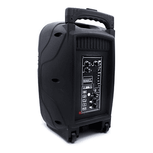 Parlante Karaoke Bluetooth 80w Incluye Micrófono - Ps