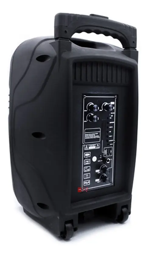 Parlante Karaoke Bluetooth 80w Incluye Micrófono - Ps