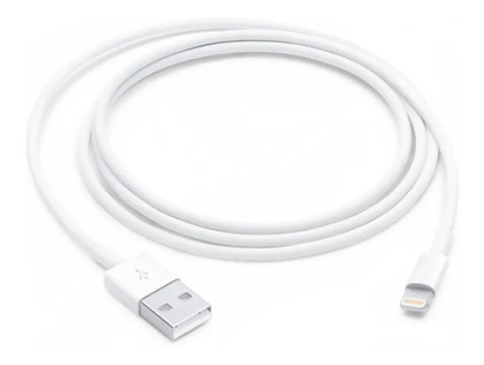 Apple Cable Lightning A Usb Largo 1mt - Ps 1