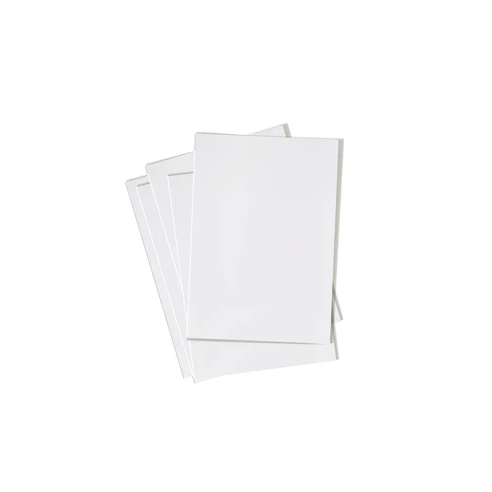 Papel Fotográfico Brillante 20 Hojas Tamaño A4 200grs - Ps 2
