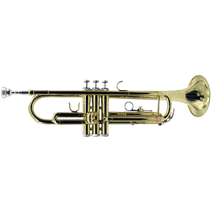 Trompeta En Si Bemol Dorada Con Estuche - PS