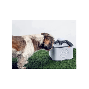 Bebedero Automático Para Mascotas 2.5lts - PS