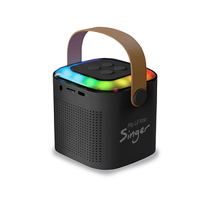 Parlante Karaoke Rgb Con Micrófono Inalámbrico Negro - PS