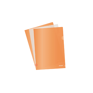 Pack 20 Carpetas A4 Para Presentaciones Traslucidas - Ps