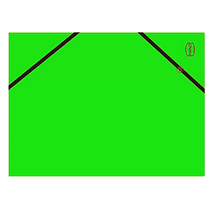 Pack 10 Carpetas Oficio Verde Solapa Y Elástico - PS