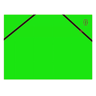 Pack 10 Carpetas Oficio Verde Solapa Y Elástico - PS