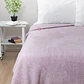 Frazada Softy Lisa 1.5 Plazas Hipertermica Tonos Claros - PS - Miniatura 3