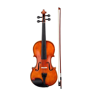 Violín 4/4 Con Estuche/arco/puente Y Cápsula Resina - Ps