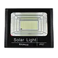 Reflector Solar Raimax 500W LED IP67 Sensor y Control - PS - Miniatura 1
