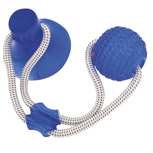 Juguete Perro con Ventosa y Pelota Elástico Duradero - PS