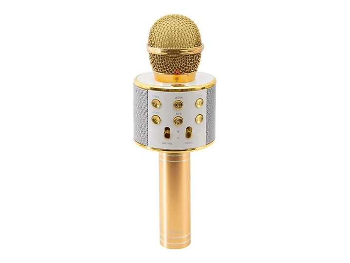 Micrófono Karaoke Bluetooth con Parlante - PS 1