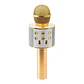 Micrófono Karaoke Bluetooth con Parlante - PS - Miniatura 1