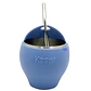 Mate Acero Inoxidable 230ml con Bombilla Colores - PS - Miniatura 1