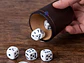 Vaso Cacho Cuero Dommo Burano Café + 5 Dados - PS - Miniatura 3