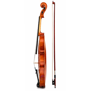 Violín 4/4 Profesional con Estuche Tipo Case y Arco - PS