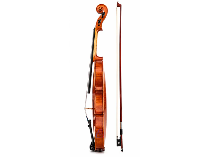 Violín 4/4 Profesional con Estuche Tipo Case y Arco - PS 2