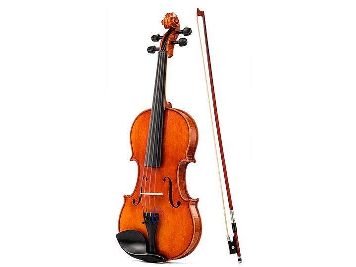 Violín 4/4 Profesional con Estuche Tipo Case y Arco - PS 3