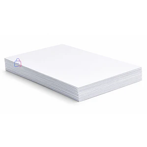 Papel Fotográfico Glossy Carta 180g 50 Hojas Inkjet - PS