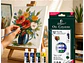 Pintura Óleo Set 12 Colores 12ml Para Lienzo - PS - Miniatura 2