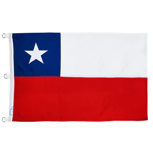 Bandera Chilena 100x150cm Con Estrella Bordada - PS