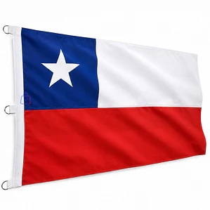 Bandera Chilena 100x150cm Con Estrella Bordada - PS