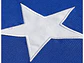 Bandera Chilena 100x150cm Con Estrella Bordada - PS - Miniatura 3