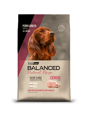 BALANCED NATURAL RECIPE Cerdo y Arroz