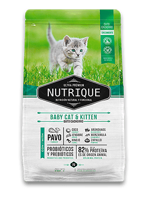 Nutrique Baby Cat & Kitten