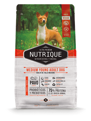 NUTRIQUE Medium Young Adult