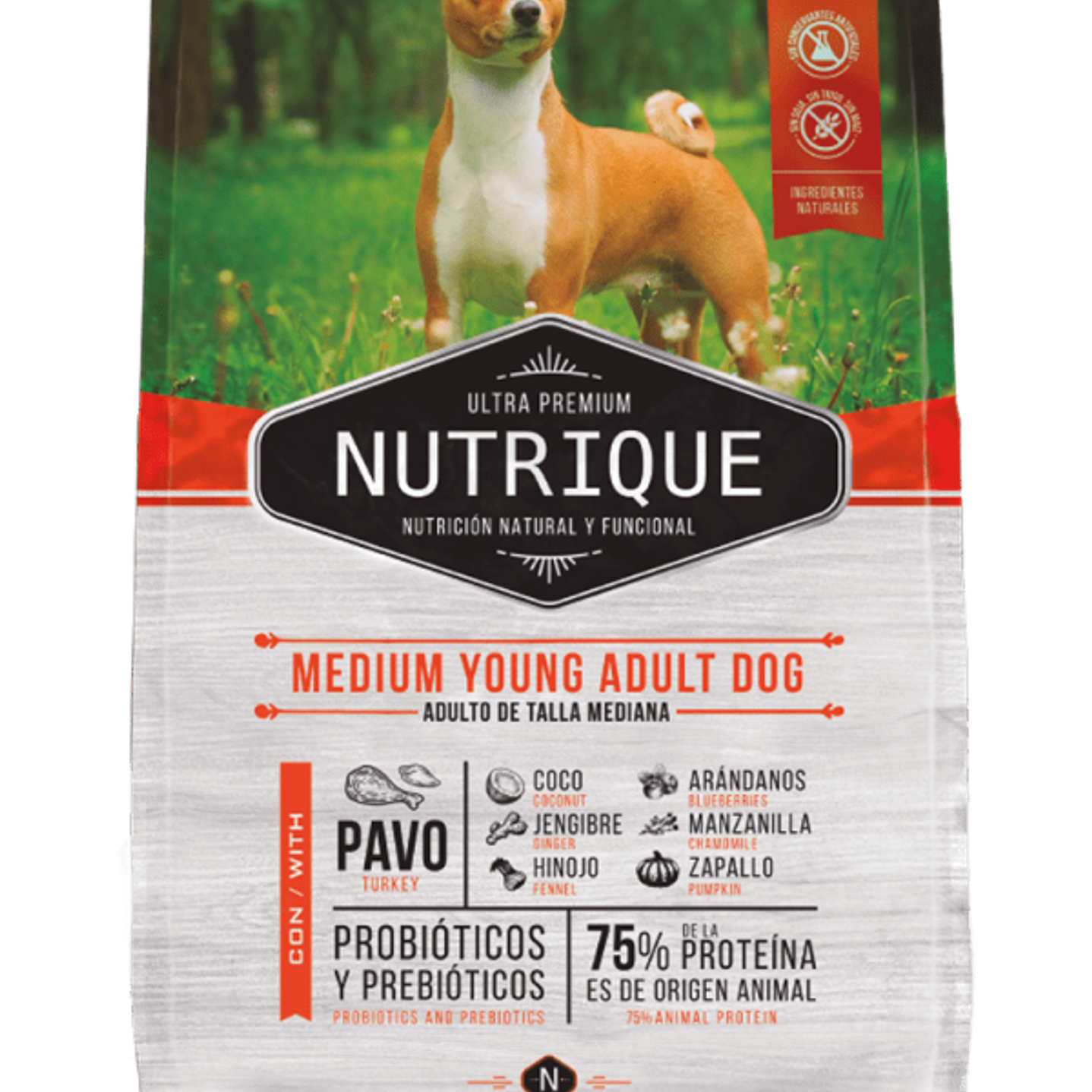 NUTRIQUE Medium Young Adult