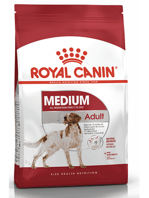 Medium Adulto