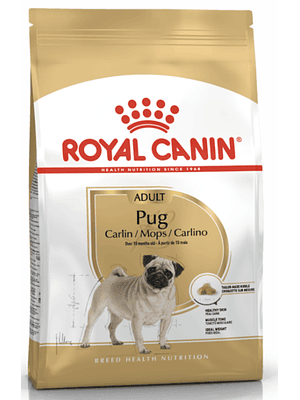 Pug Adulto