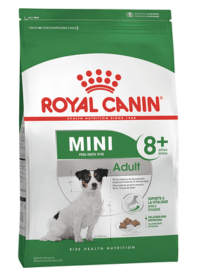 Mini Adult 8+