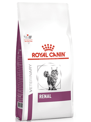 Renal Felino