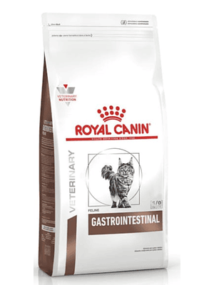 Gastrointestinal Feline