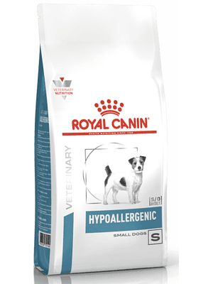 Hypoallergenic Small Dog