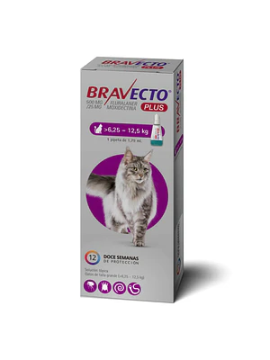 Bravecto Gato Plus 6,25 - 12,5kg