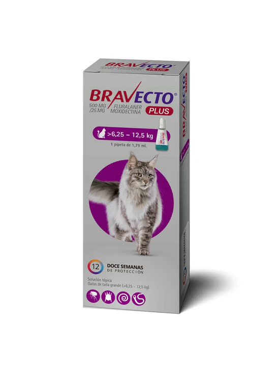 Bravecto Gato Plus 6,25 - 12,5kg 1