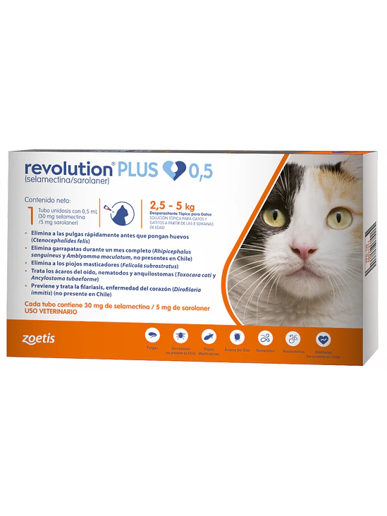 Revolution Gato Plus 2,5-5 kg 1