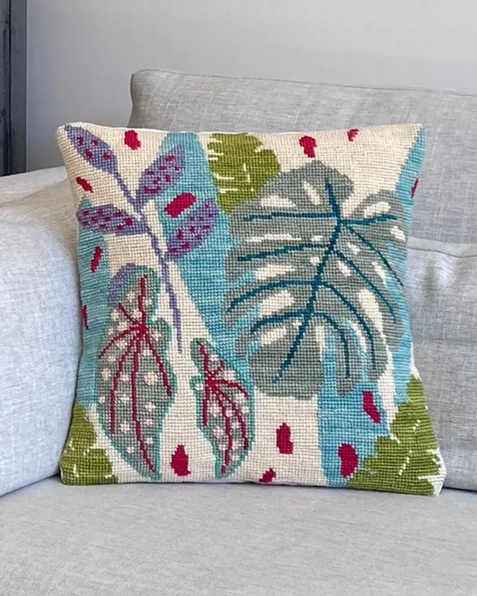 Kit Monstera 1