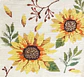 Kit Girasoles - Miniatura 1