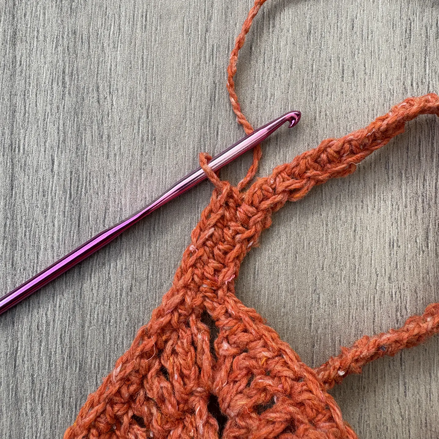 Guía de Tejido Bolso a Crochet 2