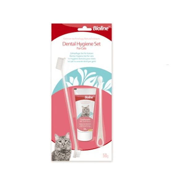 Kit Dental de gato