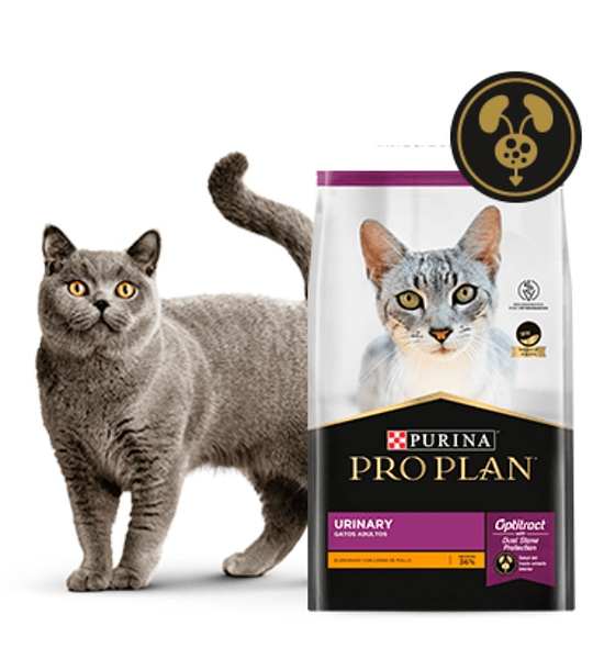 Proplan Felino Urinary 3k